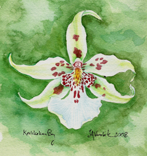 green background watercolor painting of white orchid